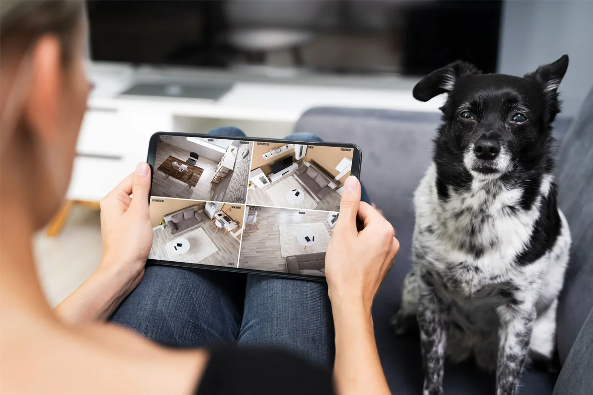 Smart Pet Camera, Bisa Pantau Hewan Kesayangan 24/7